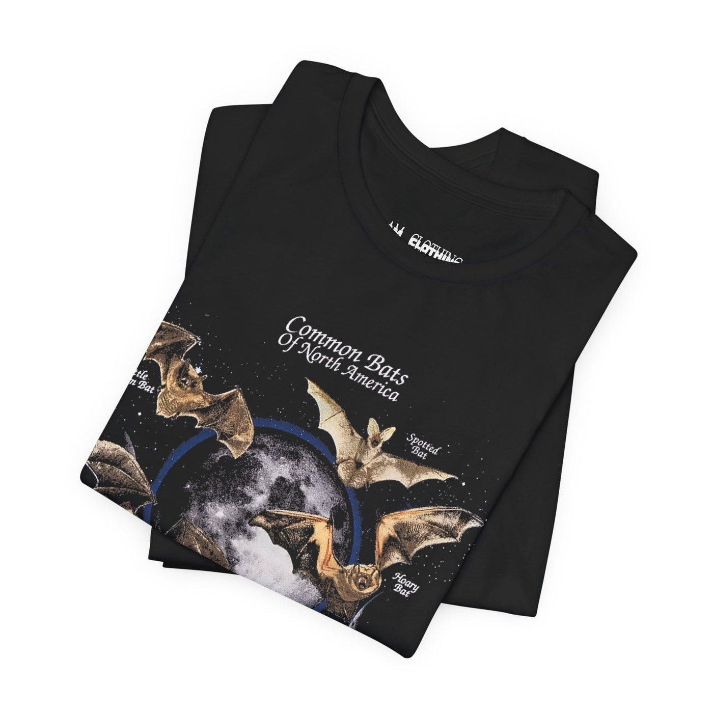 IAC | BATS black tee
